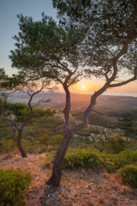 Blick vom Kloster Sant Salvador, Felanitx, Mallorca, Balearen, Spanien Blick vom Kloster Sant Salvador, Felanitx, Mallorca, Balearen, Spanien